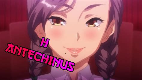 Antechinus hentai. Things To Know About Antechinus hentai. 